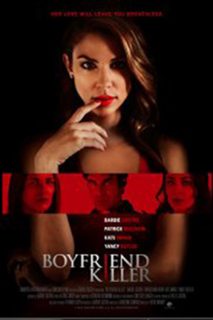 Amor Destructivo (HDRip) Español Torrent