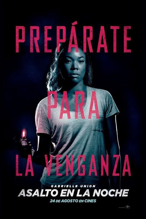 Asalto En La Noche (HDRip) Español Torrent