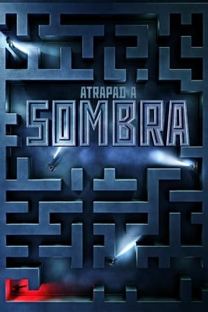 Atrapad A Sombra