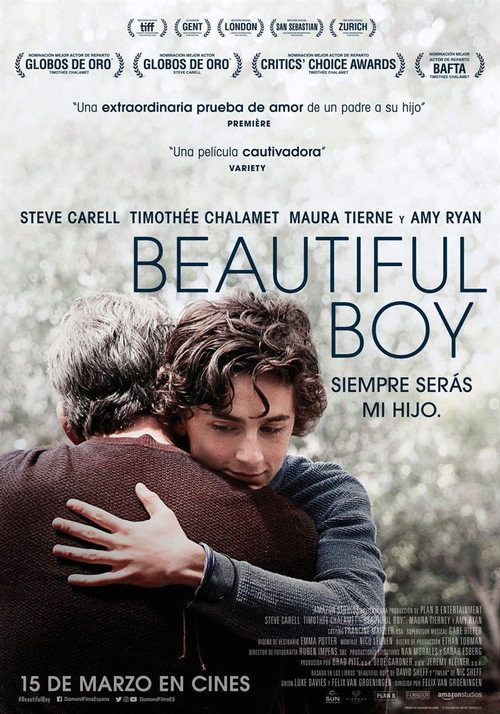Beautiful Boy, Siempre Serás Mi Hijo (MKV) (Dual) Torrent