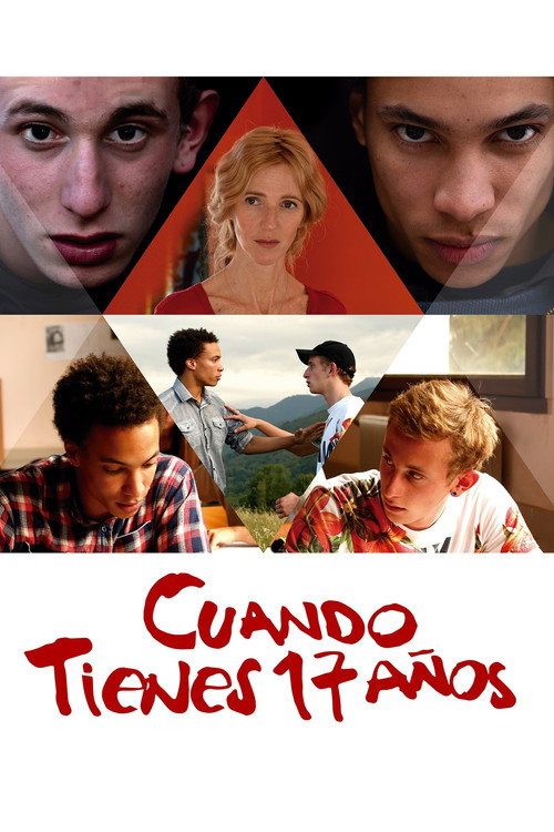 Cuando Tienes 17 Años (HDRip) Español Torrent