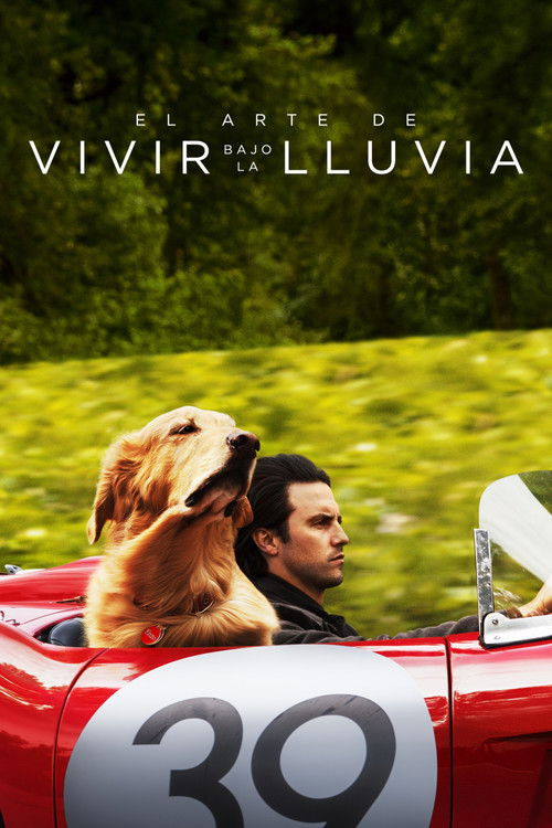 El Arte De Vivir Bajo La Lluvia (HDRip) Español Torrent