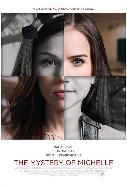 El Misterio De Michelle (HDRip) Español Torrent