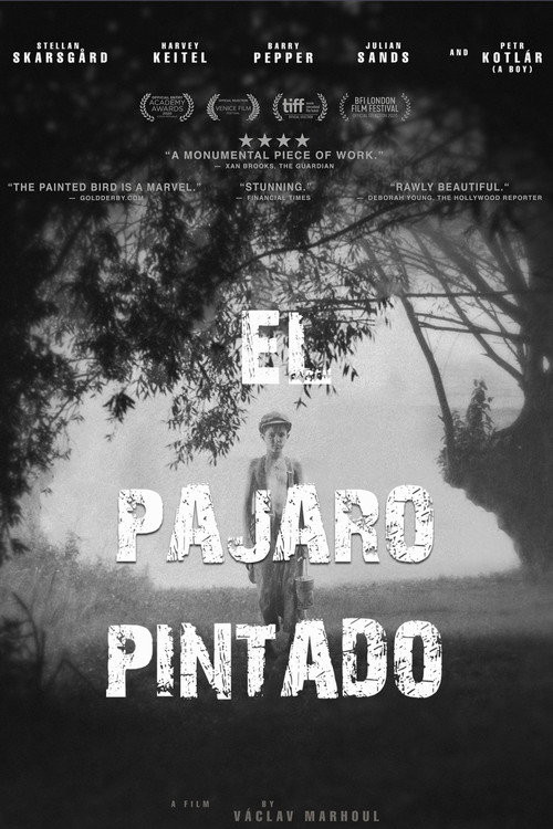 El Pájaro Pintado (HDRip) Torrent