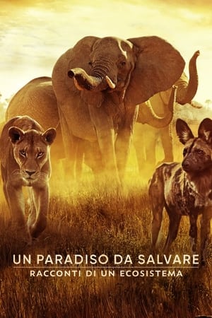 El Paraíso Que Sobrevive: Un Legado Familiar