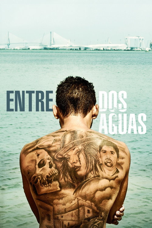 Entre Dos Aguas (HDRip) Español Torrent