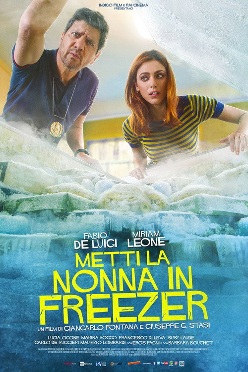 Esconde A La Abuela En La Nevera (HDRip) Español Torrent