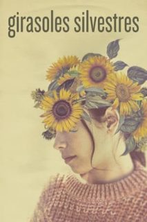 Girasoles Silvestres [Spanish]