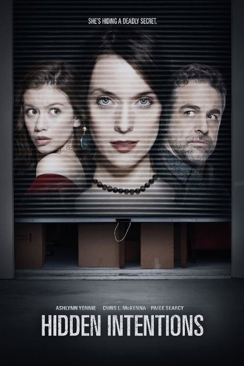 Intenciones Ocultas (HDRip) Español Torrent