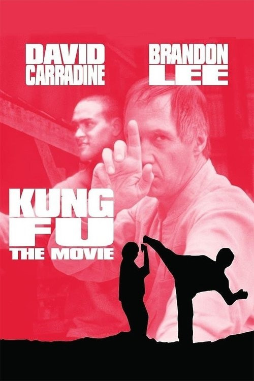 Kung Fu: La Película (DVD) (R2 PAL)