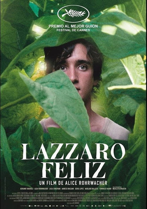 Lazzaro Feliz (MKV) (Dual) Torrent