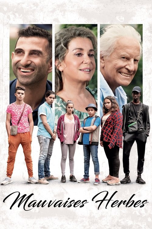 Mala Hierba (HDRip) Español Torrent