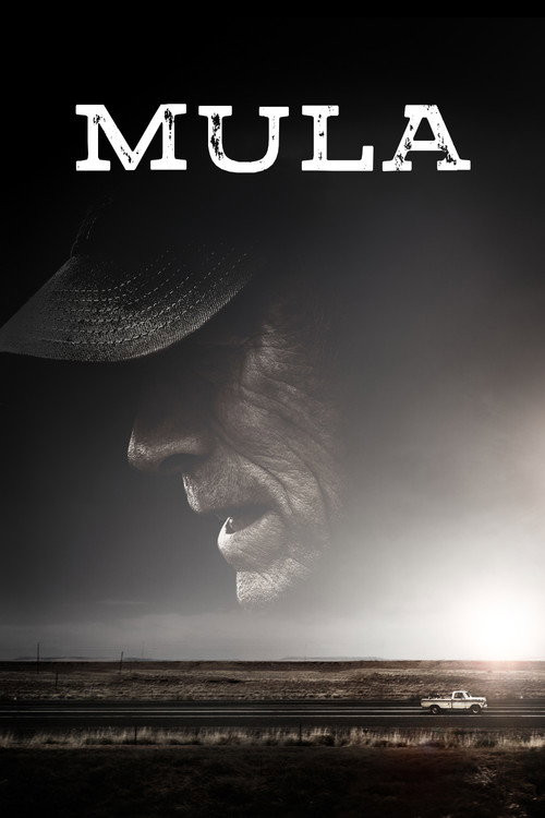 Mula (MKV) (Dual) Torrent