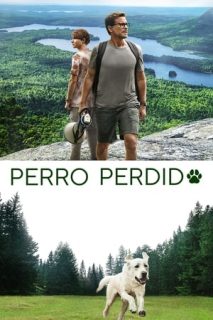 Perro Perdido [Spanish]