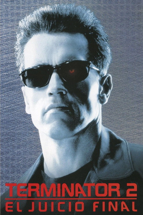 Terminator 2: El Juicio Final (MKV) Español Torrent