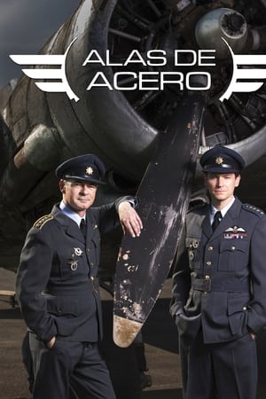 Alas De Acero