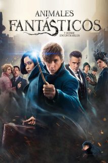Animales Fantásticos Y Dónde Encontrarlos (HDRip) Español