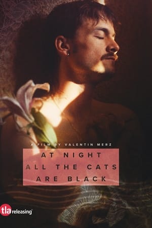 At Night All The Cats Are Black