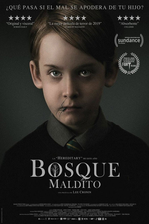 Bosque Maldito (MKV) (Dual) Torrent