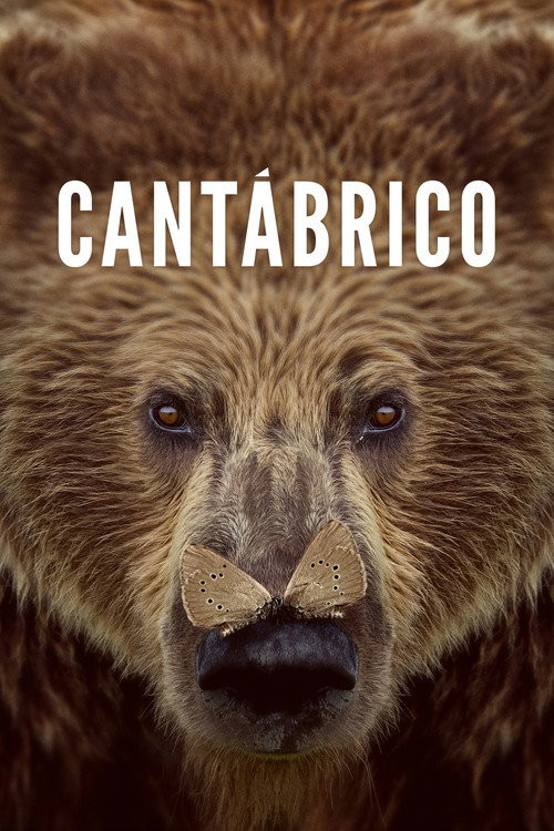 Cantábrico (HDRip) Español Torrent