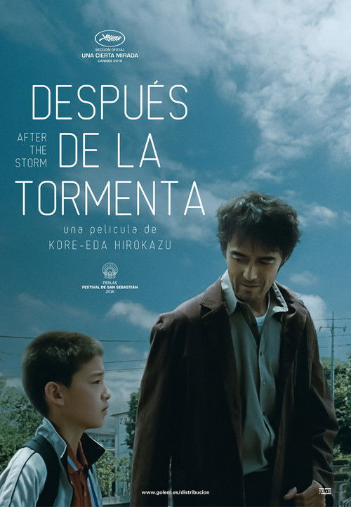 Después De La Tormenta (HDRip) Español Torrent