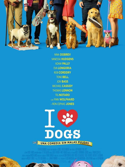 Dog Days [2018] [DVD R1] [NTSC]