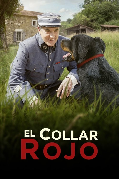 El Collar Rojo (HDRip) Español Torrent
