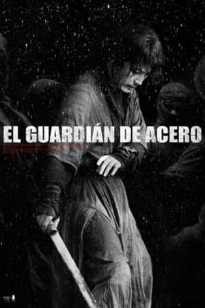 El Guardián De Acero