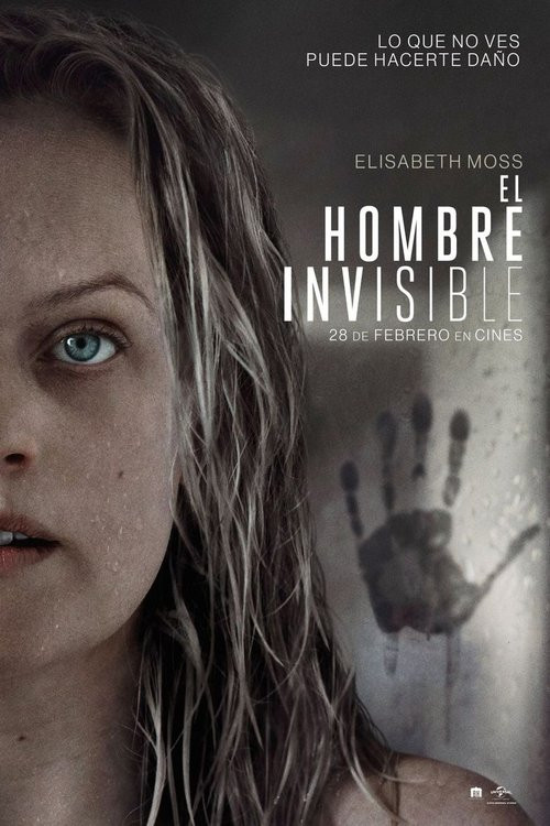 El Hombre Invisible (HDRip) Español Torrent