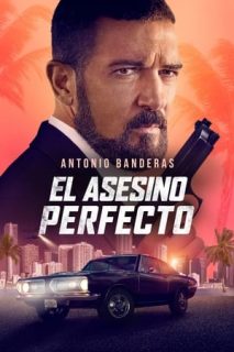 El Protector [Subtitulado]
