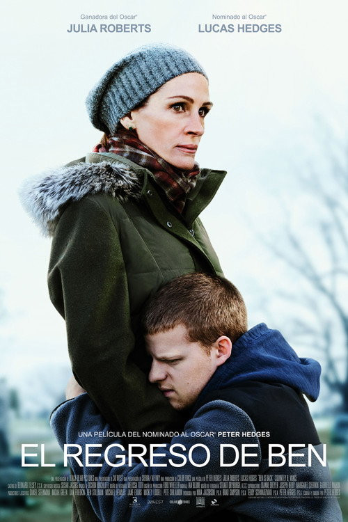 El Regreso De Ben (HDRip) Español Torrent
