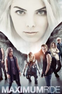 El Viaje De Max (HDRip) Español Torrent