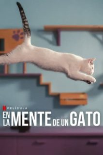 En La Mente De Un Gato [Subtitulado]