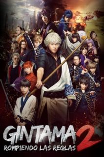 Gintama 2: Okite Wa Yaburu Tame Ni Koso Aru [Subtitulado]