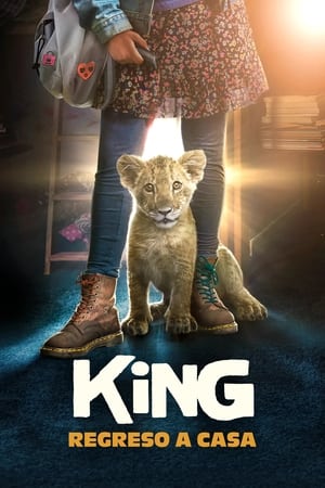 King, Mi Pequeño Rey
