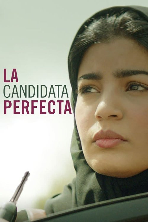 La Candidata Perfecta (HDRip) Torrent