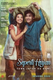 Love Like The Falling Rain [Subtitulado]