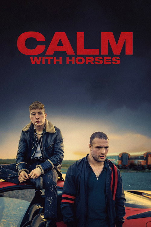 Mantén La Calma (HDRip) Torrent