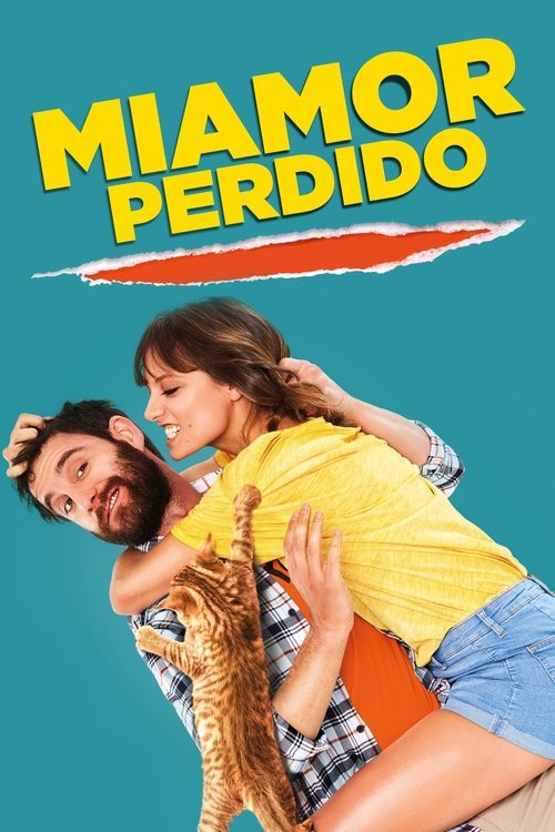 Miamor Perdido (HDRip) Español Torrent