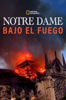 Notre Dame : Carrera Contra El Infierno [Subtitulado]
