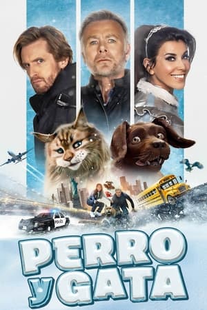 Perro Y Gata