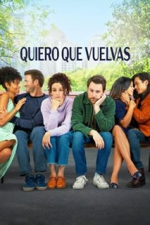 Quiero Que Vuelvas [Spanish]