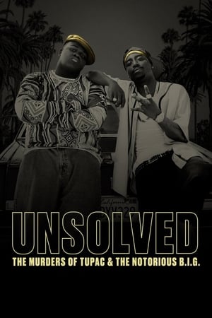 Unsolved Temporada 1 Capitulo 1