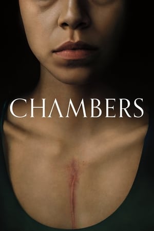 Chambers Temporada 1 Capitulo 5