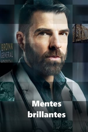 Mentes Brillantes