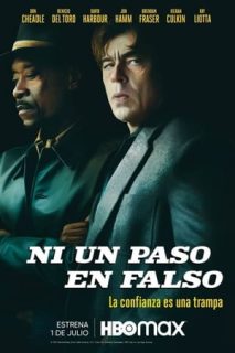 Sin Movimientos Bruscos [Spanish]