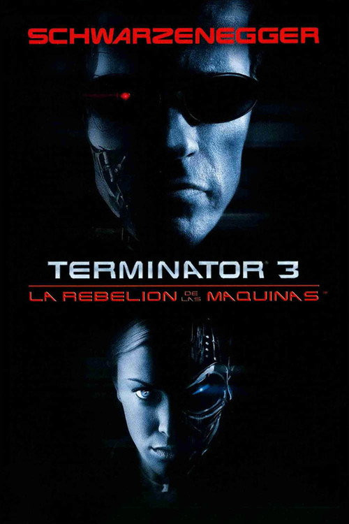 Terminator 3 (MKV) Español Torrent