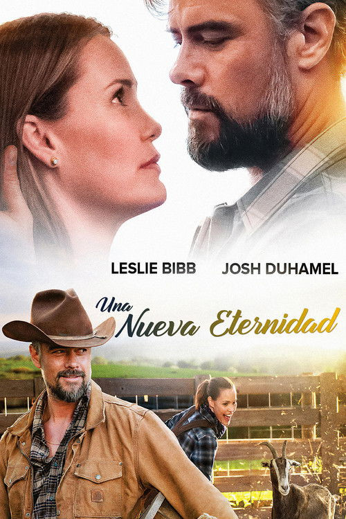 The Lost Husband (HDRip) Torrent