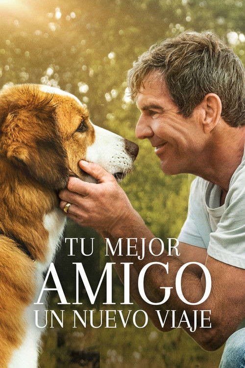 Tu Mejor Amigo: Un Nuevo Viaje (MKV) Español Torrent