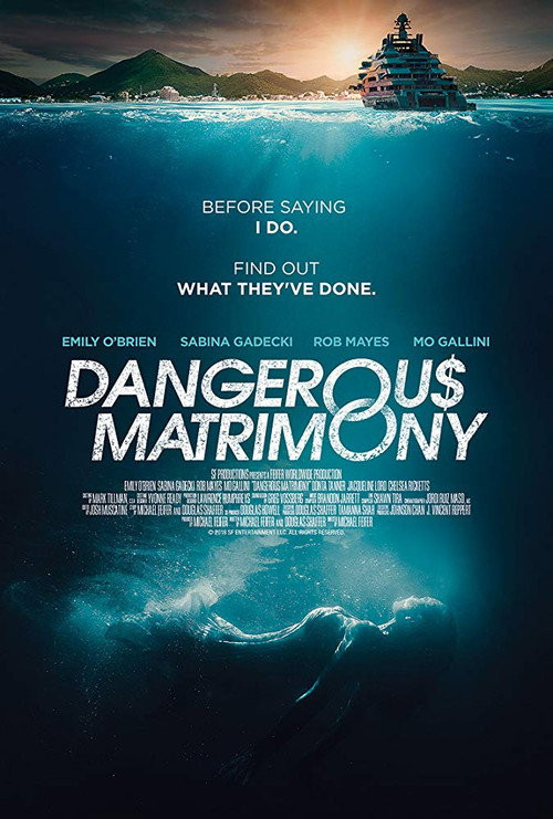 Un Matrimonio Peligroso (HDRip) Español Torrent